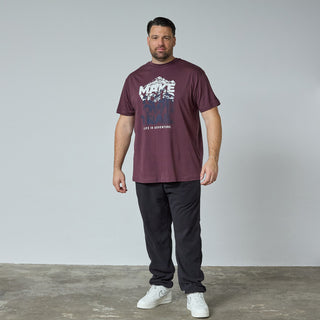 North Latitude / North Latitude Denim T-SHIRT T-shirt 0370 Aubergine