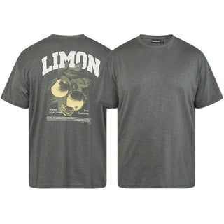North Latitude / North Latitude Denim T-Shirt Slub With Back Print T-shirt 2640 Dark Dust Green